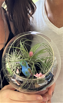 terrarium, fairy garden, diy, dragon, fox, bunny, etching, moss wall, air plant, tillandsia, atlanta, cobb, marietta, kennesaw, acworth, 
woodstock